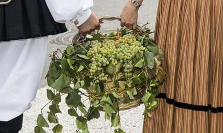 basket of grapes. Image shot 08/2016. Exact date unknown.M49067 basket of grapes. Image shot 08/2016. Exact date unknown.